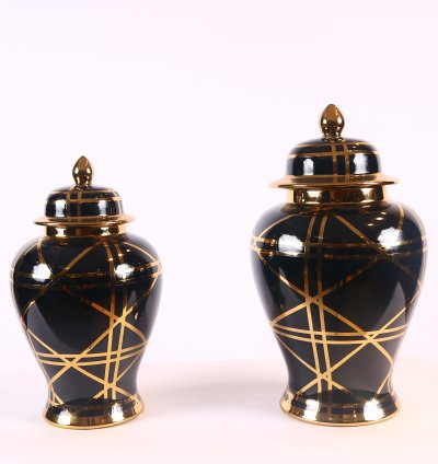 Porcelain Vases Set of 2