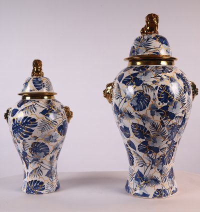 Porcelain Vases Set of 2