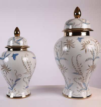 طقم فازات بورسلين 2 قطعة