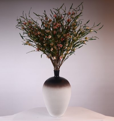 فازة بورسلين