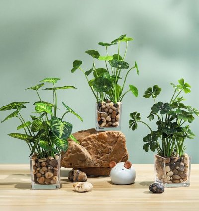 فازة زرع قطعة 1