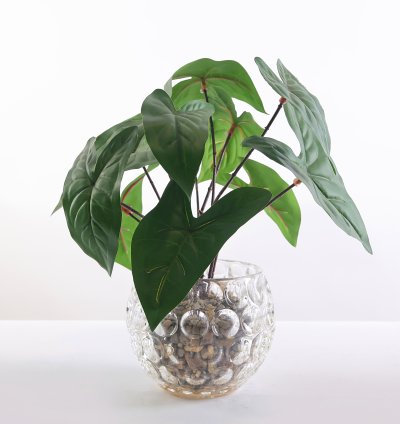 فازة زرع زجاجية