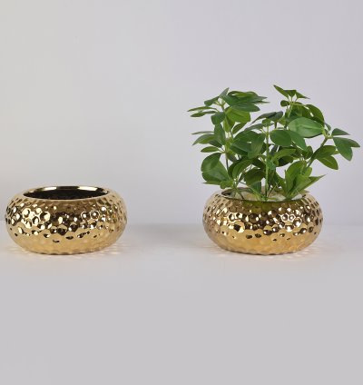 فازة زرع ذهبية