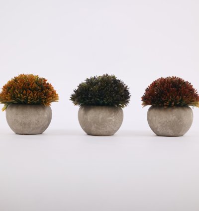 نبات صناعى فى وعاء