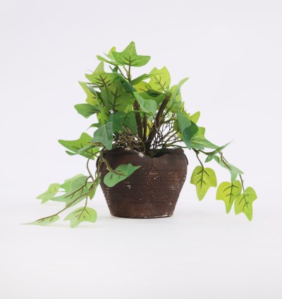 نبات صناعى فى وعاء