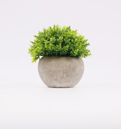 نبات صناعى فى وعاء