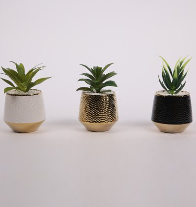 نبات صناعى فى وعاء