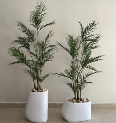 شجرة أريكا صناعية بلمسة طبيعية