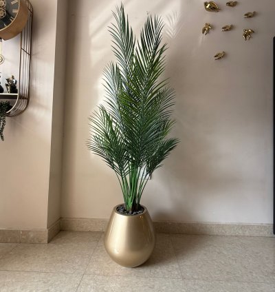 شجرة أريكا صناعية