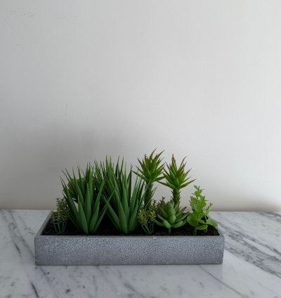 نباتات صناعية بطابع عصري