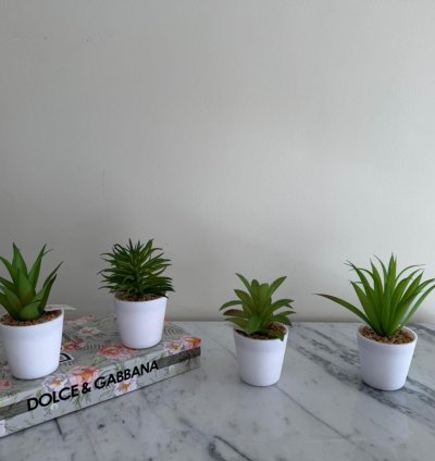 Elegant Mini Artificial Plants set of 4