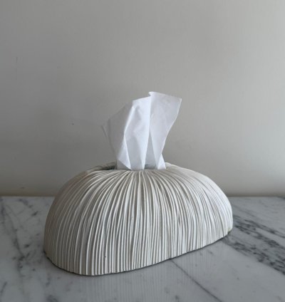 Modern Tissue Box