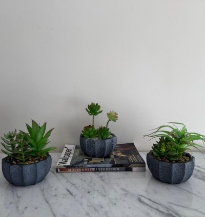 لمسة فخامة خضراء