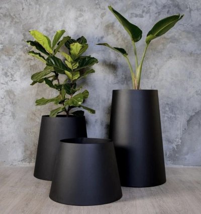 بوتات كونيكا