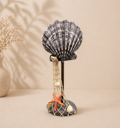 Shell Decorative Accent