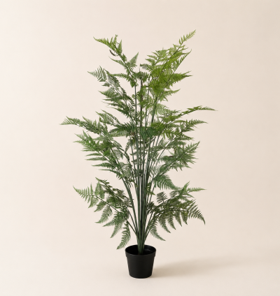 Fern Tree