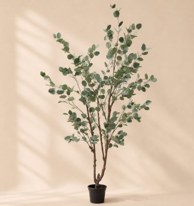 Eucalyptus Tree