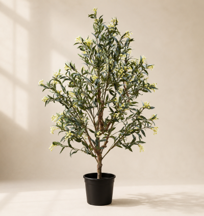 White Flower Tree