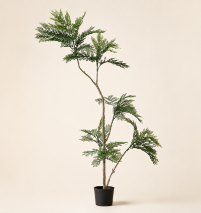 Fern Tree