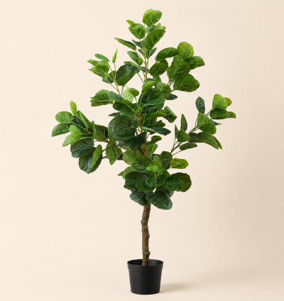 Fiddle Leaf Fig Tree