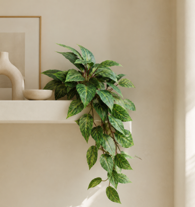 Green Hanging Plant
