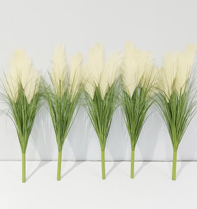 Pampas Grass Spray