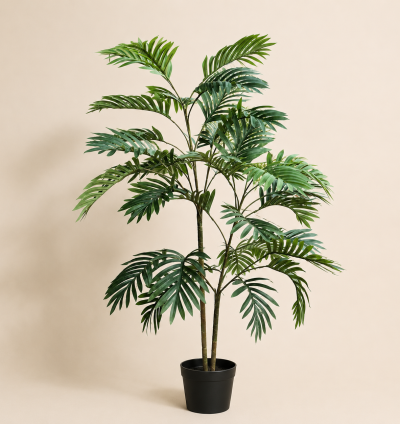 Parlor Palm Tree