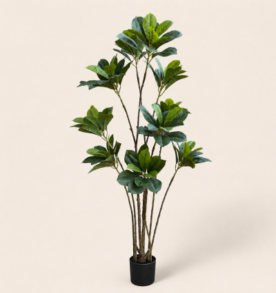 Fiddle Leaf Fig Tree
