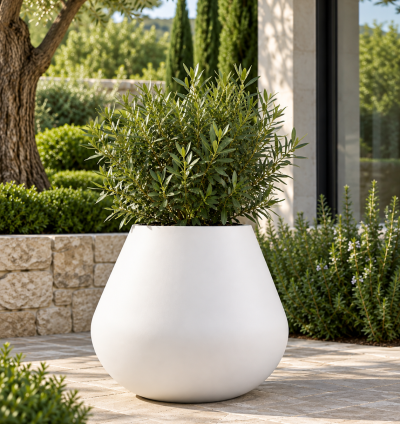 Dune Planter